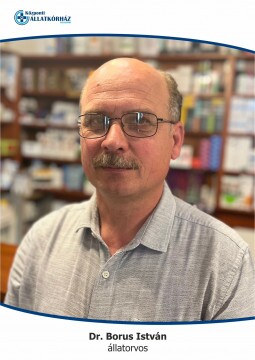 Dr. Borus István